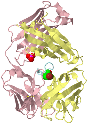 Image Biological Unit 2