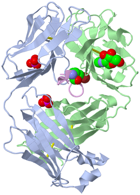 Image Biological Unit 1