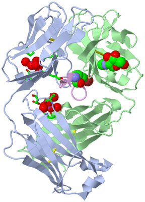 Image Biol. Unit 1 - sites