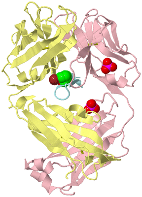 Image Biological Unit 2