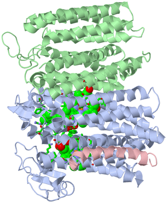 Image Asym./Biol. Unit - sites