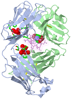 Image Biol. Unit 1 - sites