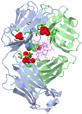 Image Biol. Unit 1 - sites