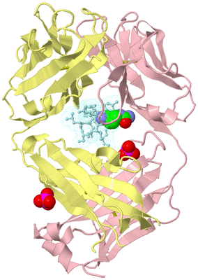 Image Biological Unit 2