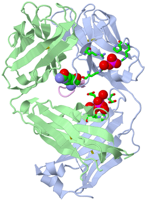 Image Biol. Unit 1 - sites