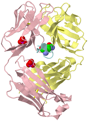 Image Biological Unit 2