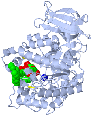 Image Biological Unit 1