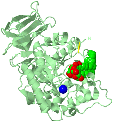 Image Biological Unit 2