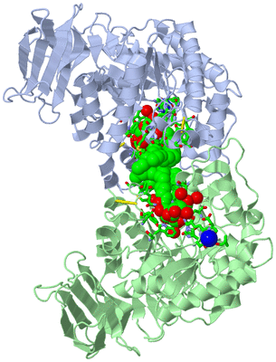 Image Asym. Unit - sites