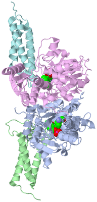 Image Asym./Biol. Unit