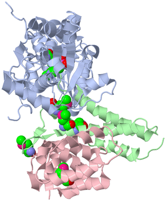 Image Biological Unit 1