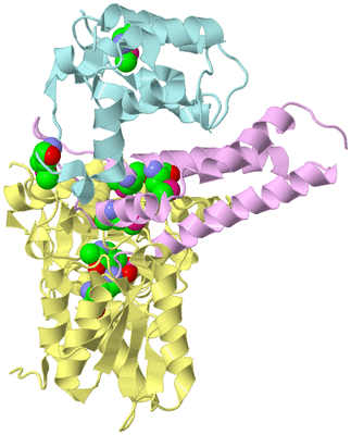 Image Biological Unit 2