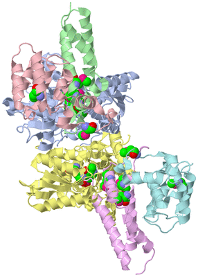 Image Biological Unit 3