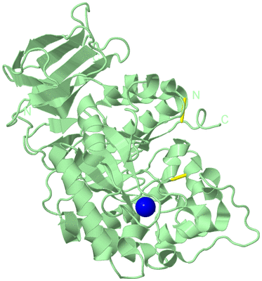 Image Biological Unit 2