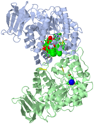 Image Asym. Unit - sites