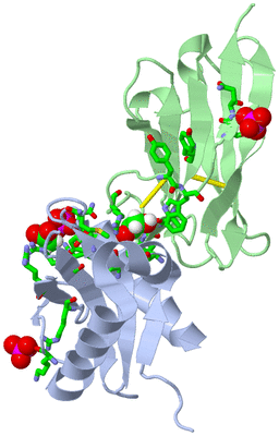 Image Biol. Unit 1 - sites