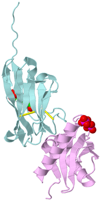 Image Biological Unit 3