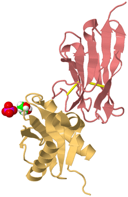 Image Biological Unit 4