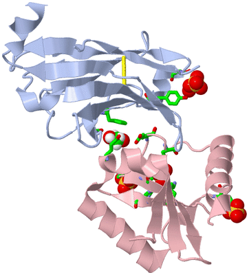 Image Biol. Unit 1 - sites