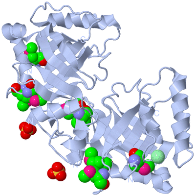 Image Biological Unit 1