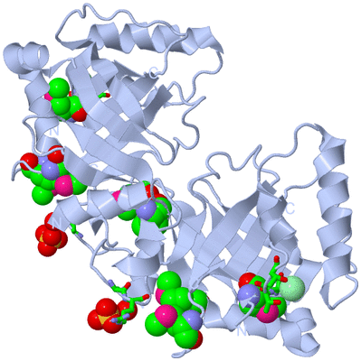 Image Biol. Unit 1 - sites