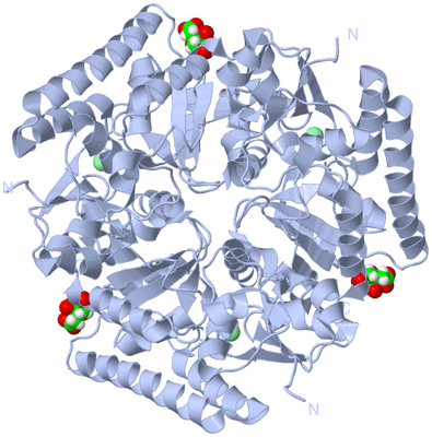 Image Biological Unit 1