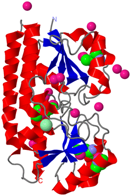 Image Asym./Biol. Unit