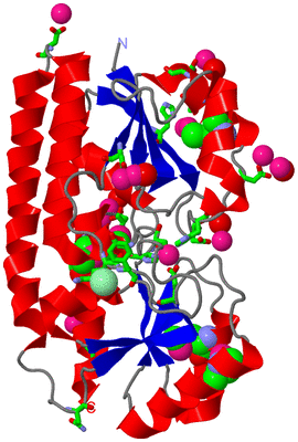 Image Asym./Biol. Unit - sites