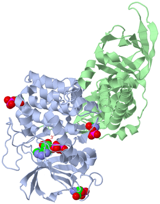 Image Biological Unit 1