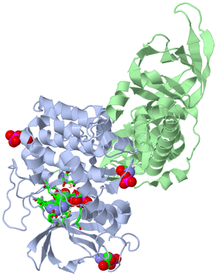 Image Biol. Unit 1 - sites