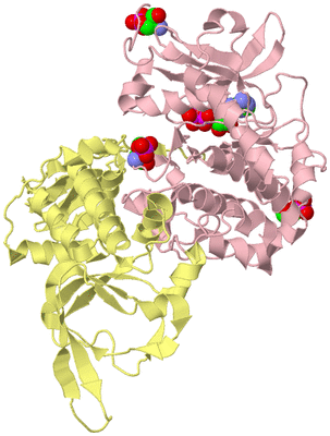 Image Biological Unit 2