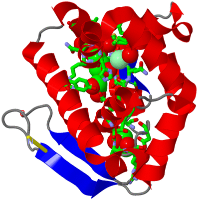 Image Asym./Biol. Unit - sites