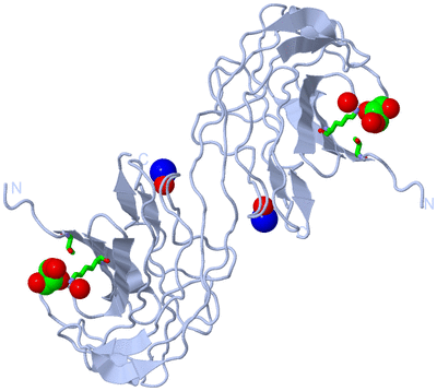 Image Biol. Unit 1 - sites