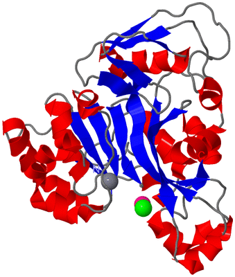 Image Asym./Biol. Unit