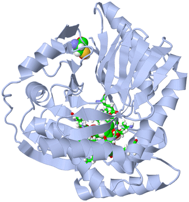 Image Biol. Unit 1 - sites