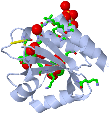 Image Biol. Unit 1 - sites