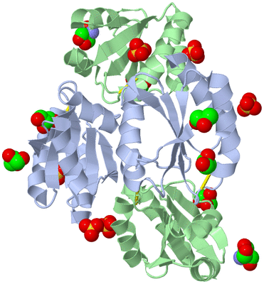 Image Biological Unit 3