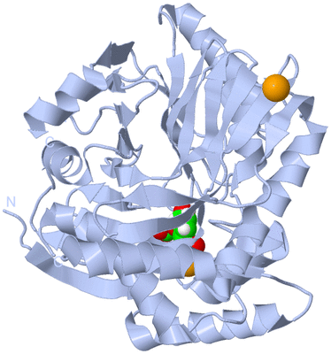 Image Biological Unit 1