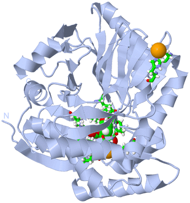 Image Biol. Unit 1 - sites