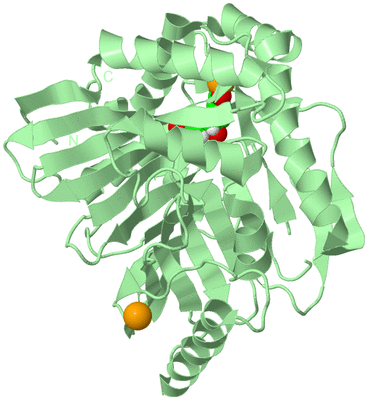 Image Biological Unit 2