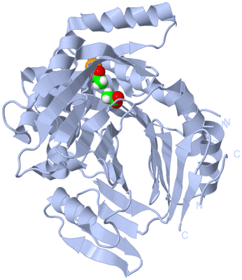 Image Biological Unit 1