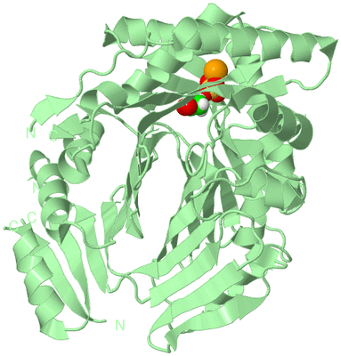 Image Biological Unit 2