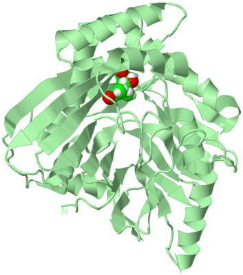 Image Biological Unit 2