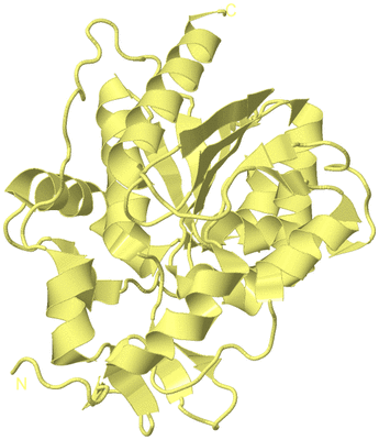 Image Biological Unit 4