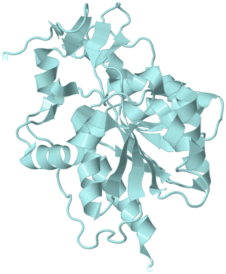 Image Biological Unit 6