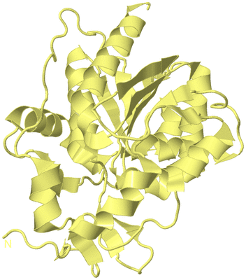 Image Biological Unit 4