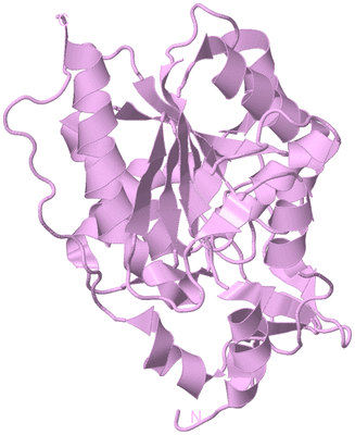 Image Biological Unit 5