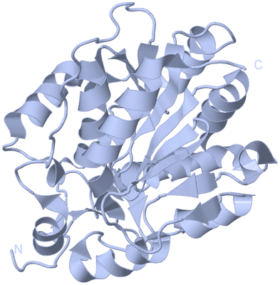 Image Biological Unit 3