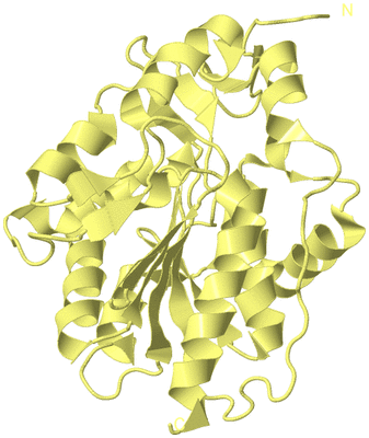 Image Biological Unit 5