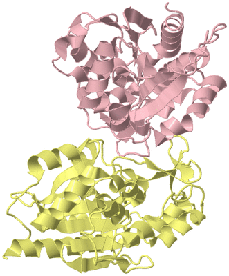 Image Biological Unit 7